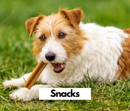 Tyggeben hos shopdogsrus.dk Tyggeben hos shopdogsrus.dk